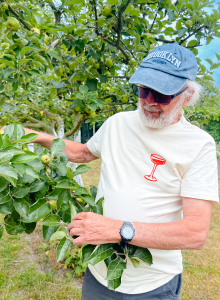 Photo avis t shirt cocktails 07